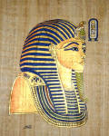 king tut papyrus profile