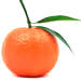 Tangerine