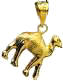 Egyptian jewelry 