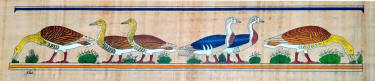 papyrus nile geese god geb
