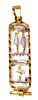 Cartouche with hieroglyphics